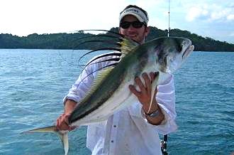 Costa Rica Roosterfish