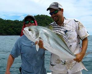 Costa Rica Roosterfish